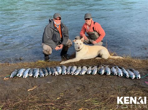 kenai fishing charters|Kenai River Fishing Charters & Guided Trips .